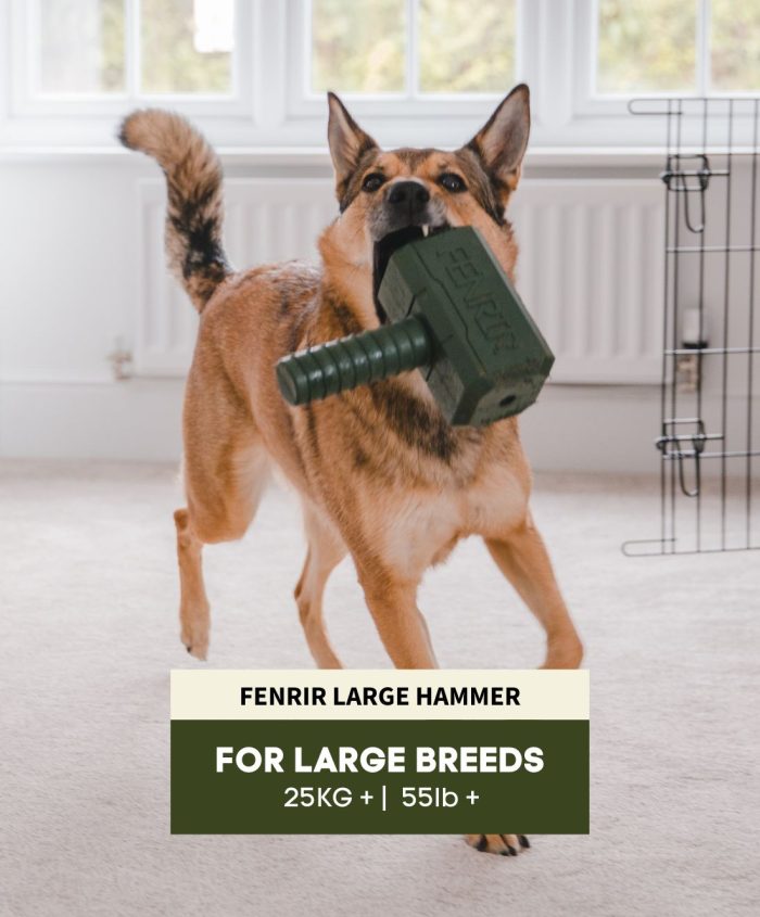 The Fenrir Hammer - Image 7