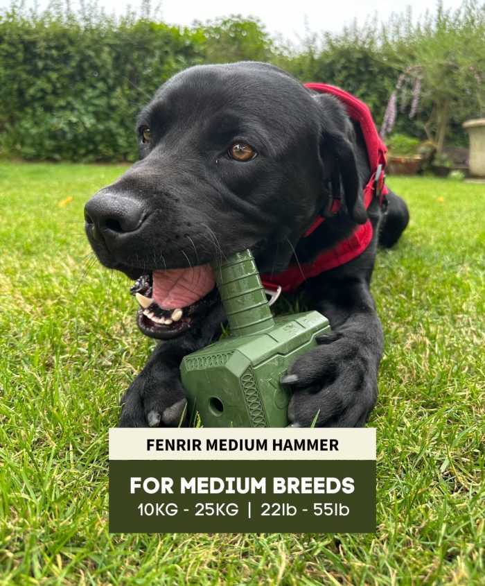 The Fenrir Hammer - Image 18