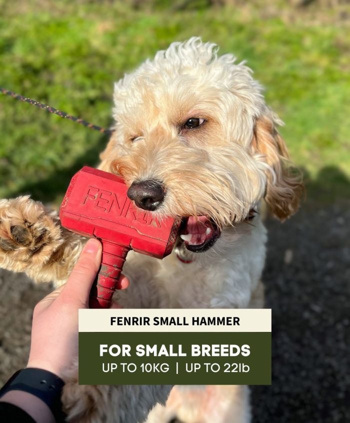The Fenrir Hammer - Image 27